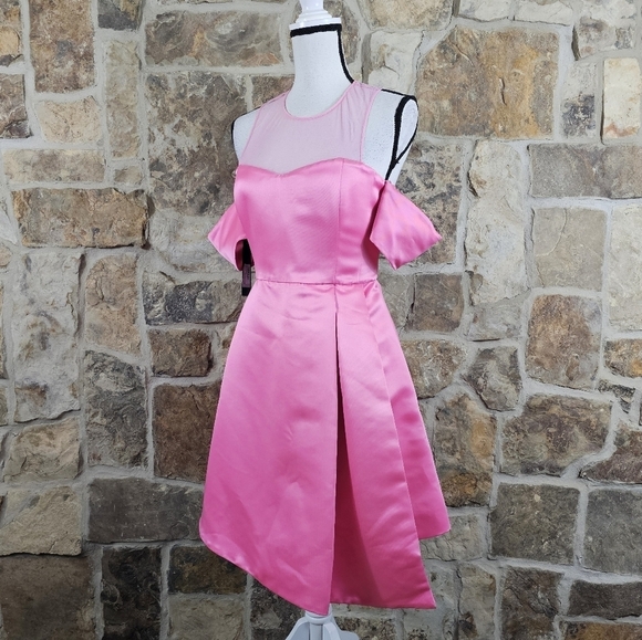 NWT Pinko 8 44 Missing 1 Abito Duchesse Diagonale Dress - Picture 4 of 14